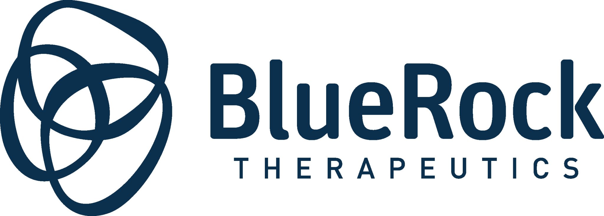 BlueRock-Logo-Dark-Blue-Final-2048x733
